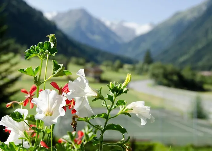 Apart-pension Wasserfall 아파트 *